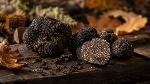 Una giornata dedicata al tartufo nero di Bracca, tra sapori del territorio e convivialità.