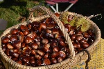 Due giornate dedicate alle castagne e alle tradizioni autunnali di Bracca.